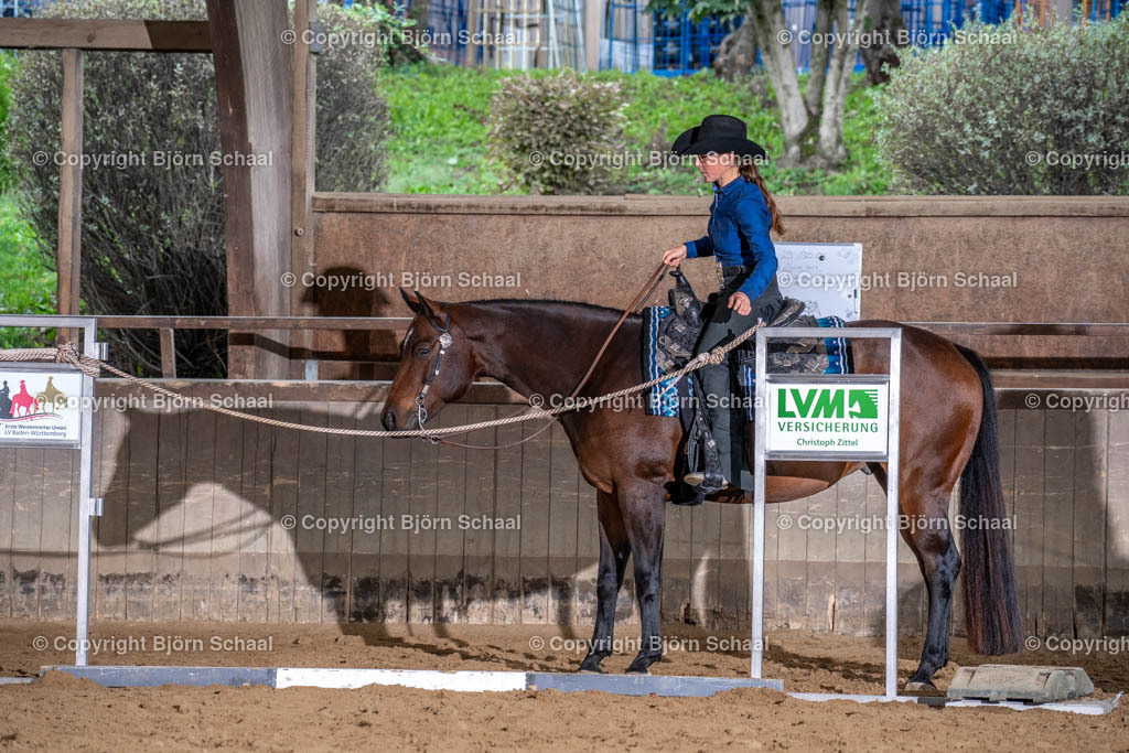 LMB03866 | BS-foto
