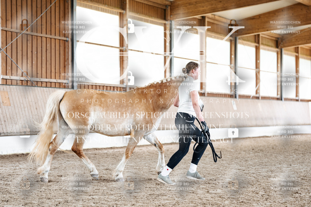CK907878 | Turnierfotografie Pferdefotografie Trier Rheinland-Pfalz Pferdesport Reitsport Tierfotografie Sportfotografie Pferdevideo Pferdevideografie Equestrianvideography equestrianphotography  - Realisiert mit Pictrs.com