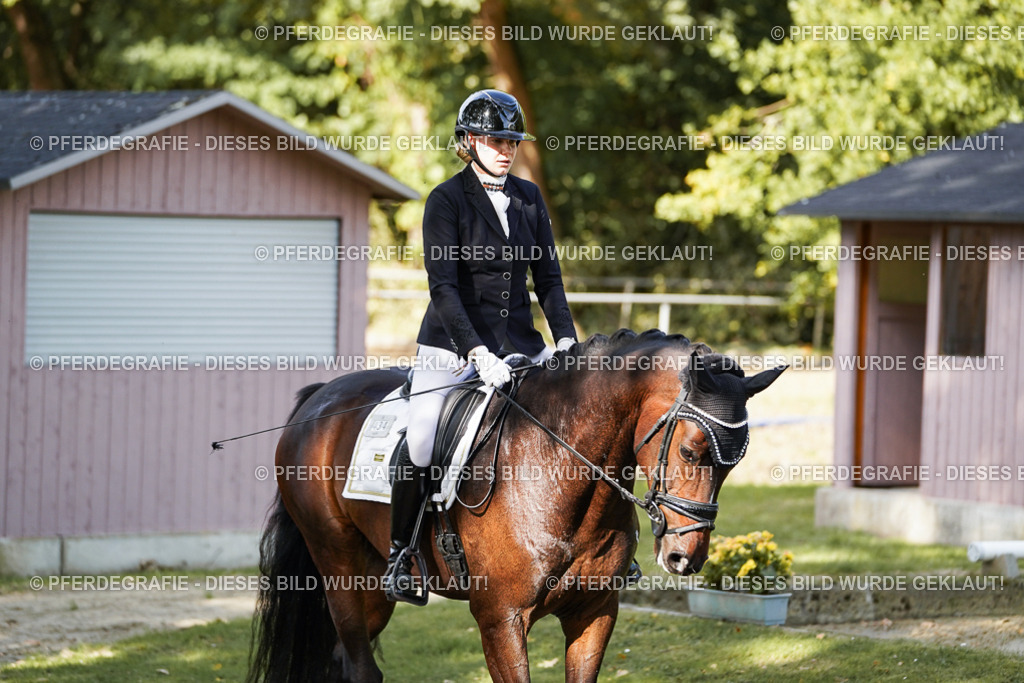 DSC07684 | Pferdegrafie