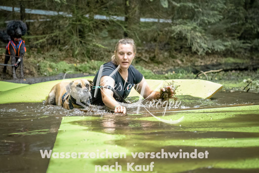 1430_ZZ92611-Bearbeitet | kk-dogfotos