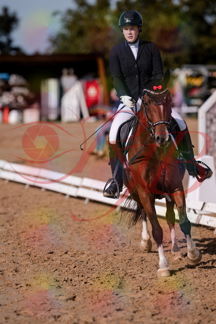 2026_10_03_Siefer-Hof_115808_Z81_00422183 | Professionelle Reitsport-, Turnier- und Eventfotografie von Robert Broda. Galerien mit ausgewählten und bearbeiteten Bildern direkt online ansehen und bestellen.