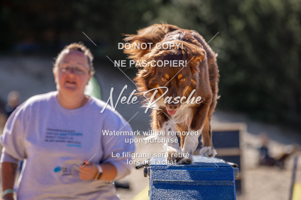 NR__0695 | nelerasche
