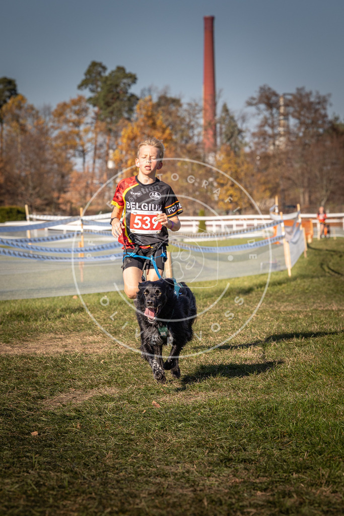 CaniXpix_0L8A7492 | Hundefotografie, Tierfotograf, Pfotenfotografie, Fotoshooting Hund, Hunde Portrait, Hundesport, Hundeportraits, Heideshooting, Hunde, Sportfotograf, Hundefotograf, Turnierhundsport, THS,  - Realisiert mit Pictrs.com