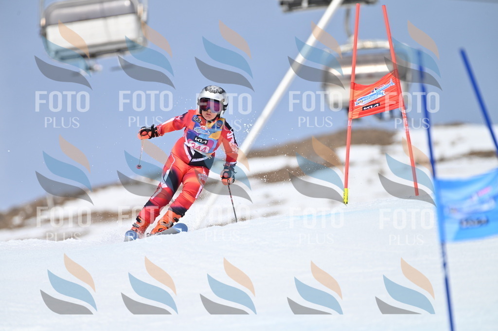 BGV_3512 | holidayphoto