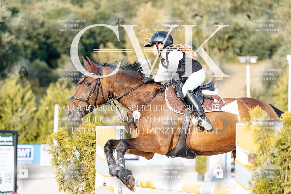 CK900709 | Turnierfotografie Pferdefotografie Trier Rheinland-Pfalz Pferdesport Reitsport Tierfotografie Sportfotografie Pferdevideo Pferdevideografie Equestrianvideography equestrianphotography  - Realisiert mit Pictrs.com