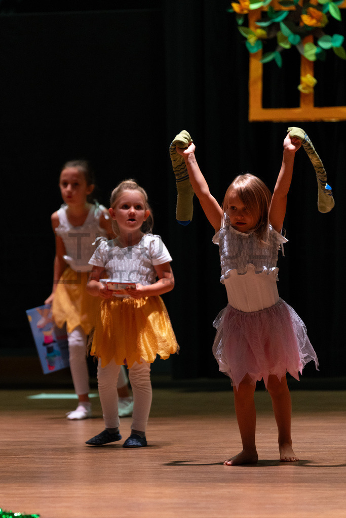 DSC08330 | Tinu Müller Fotografie- Bildershop - Realisiert mit Pictrs.com