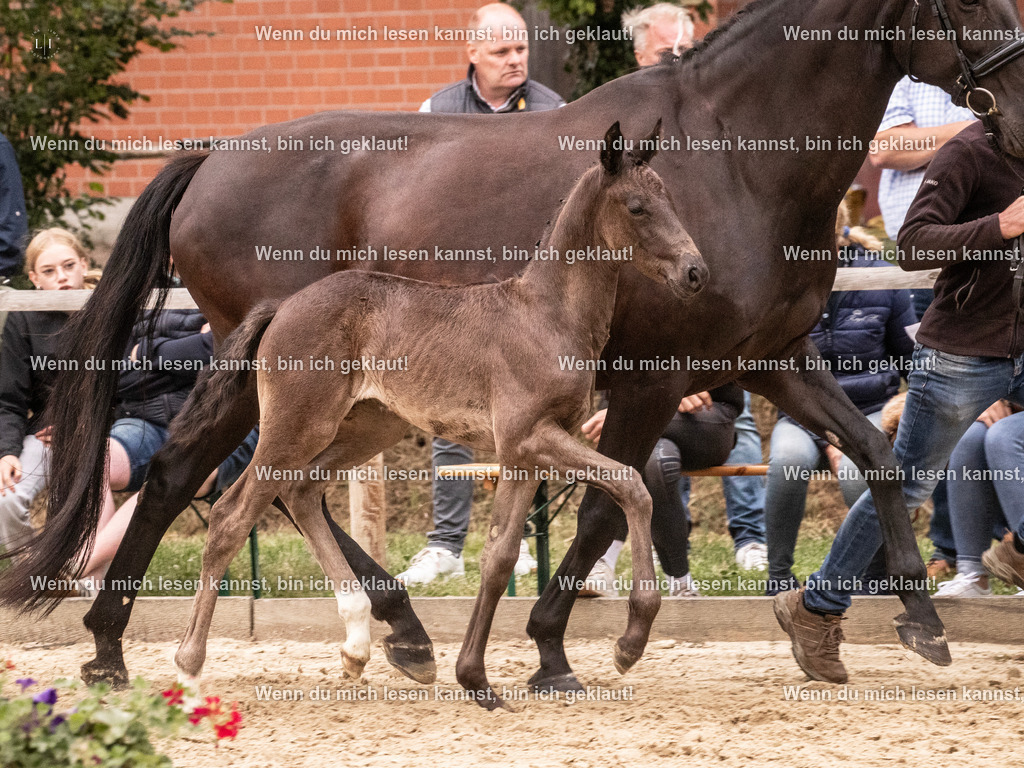 A10I5367 | photographylinaismer - Realisiert mit Pictrs.com