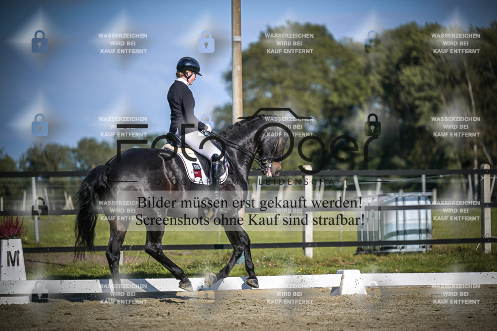 DOS_B857 | Entdecke hochwertige Reitturnierfotos von Foto Oger. Professionell, emotional und authentisch – jetzt Lieblingsmomente im Shop bestellen.Deutschlandweite Turnierfotografie. - Realisiert mit Pictrs.com
