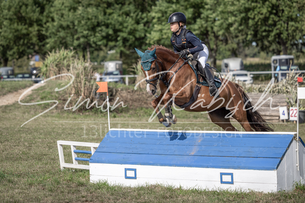 20250907-_3LI9577 | Tierfotografie Pferde, Hunde, Katzen, Haustiere.
Turnierfotografie Reitturniere, Reiten, Springreiten, Dressur in Hanau, dem Main-Kinzig-Kreis und dem Rhein-Main- Gebiet um Frankfurt