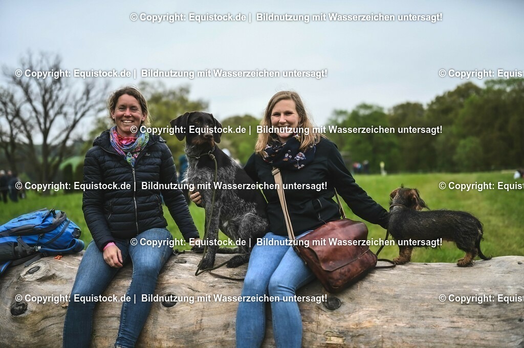 20230513_Impression_0047 | equistock