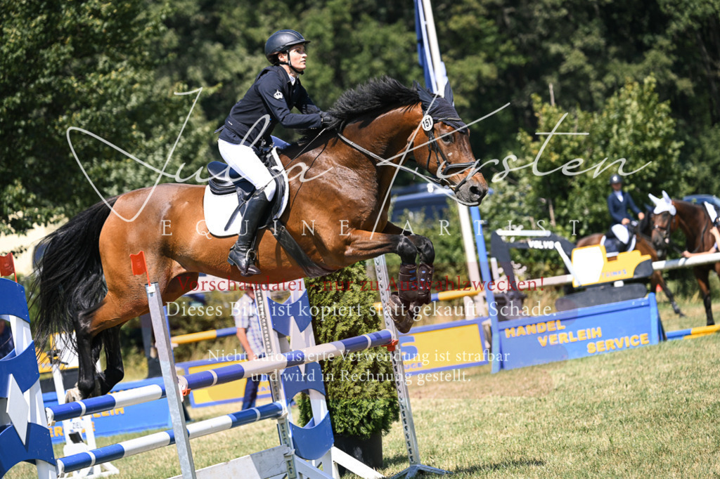 DSC_0185 | Pferde- und Turnierfotografie in Westsachsen. Pferdeportraits, Auftragszeichnungen und intuitive Kunst.