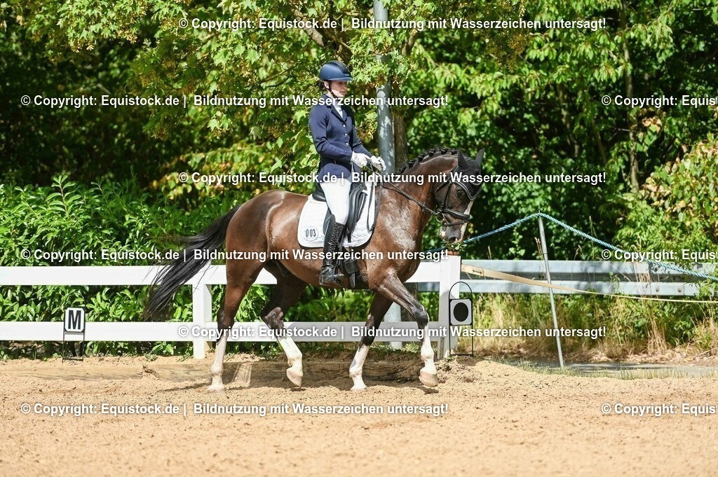 20230715_02_Dressurreiterprüfung Kl.L_0297 | equistock