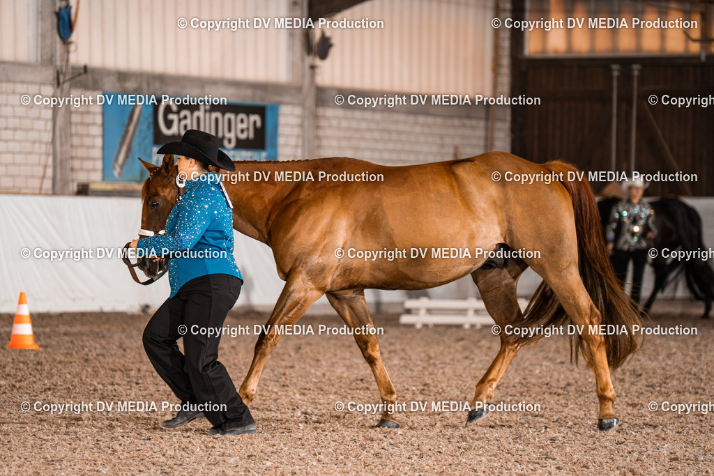 ZH200138 | dv-media-shop - Realisiert mit Pictrs.com