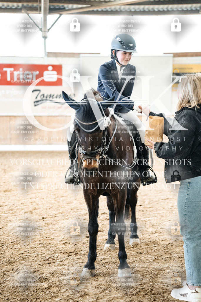 CK703095 | Turnierfotografie Pferdefotografie Trier Rheinland-Pfalz Pferdesport Reitsport Tierfotografie Sportfotografie Pferdevideo Pferdevideografie Equestrianvideography equestrianphotography  - Realized with Pictrs.com