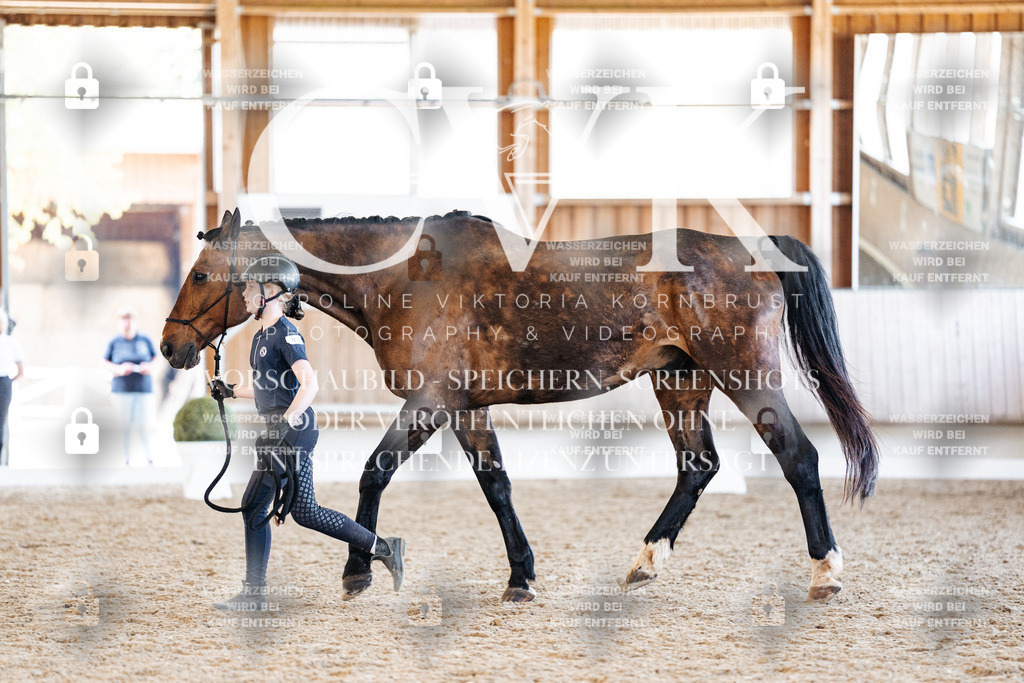 CK906473 | Turnierfotografie Pferdefotografie Trier Rheinland-Pfalz Pferdesport Reitsport Tierfotografie Sportfotografie Pferdevideo Pferdevideografie Equestrianvideography equestrianphotography  - Realized with Pictrs.com
