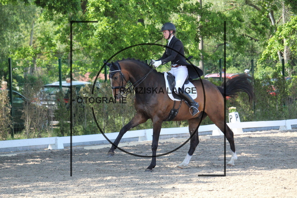 IMG_4853 | franziskalange - Realisiert mit Pictrs.com