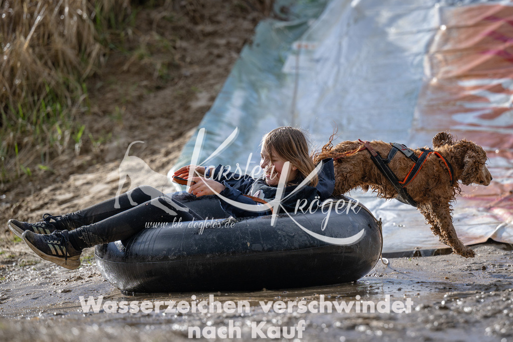 1550_ZZ91658 | kk-dogfotos