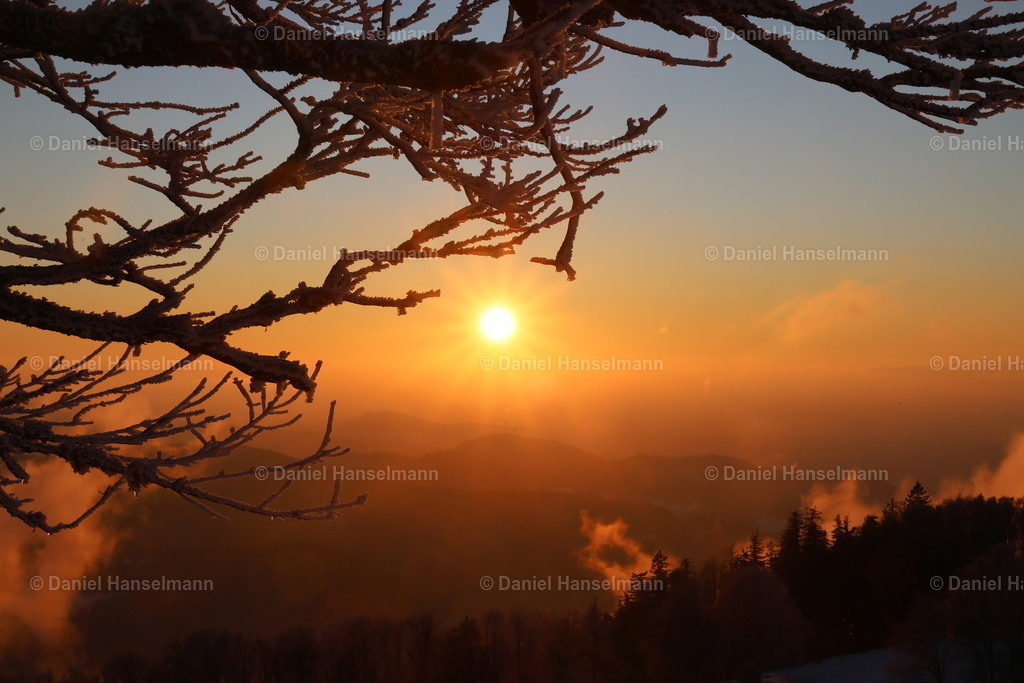 162A3900 | Hier finden Sie Poster, Leinwandfotos sowie viele weitere Fotoprodukte mit Motiven aus dem Schwarzwald, aus Freiburg und dem Kaiserstuhl zum Download und zum Bestellen.  - Realisiert mit Pictrs.com