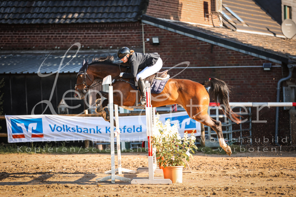 18.SoSpA100169 | Leoni Ertmer Photography - Realisiert mit Pictrs.com