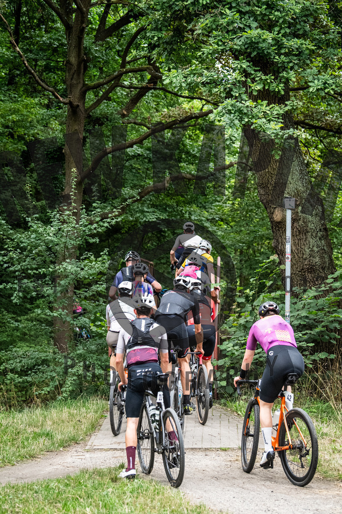 DKP-6561 | Drew Kaplan Photography