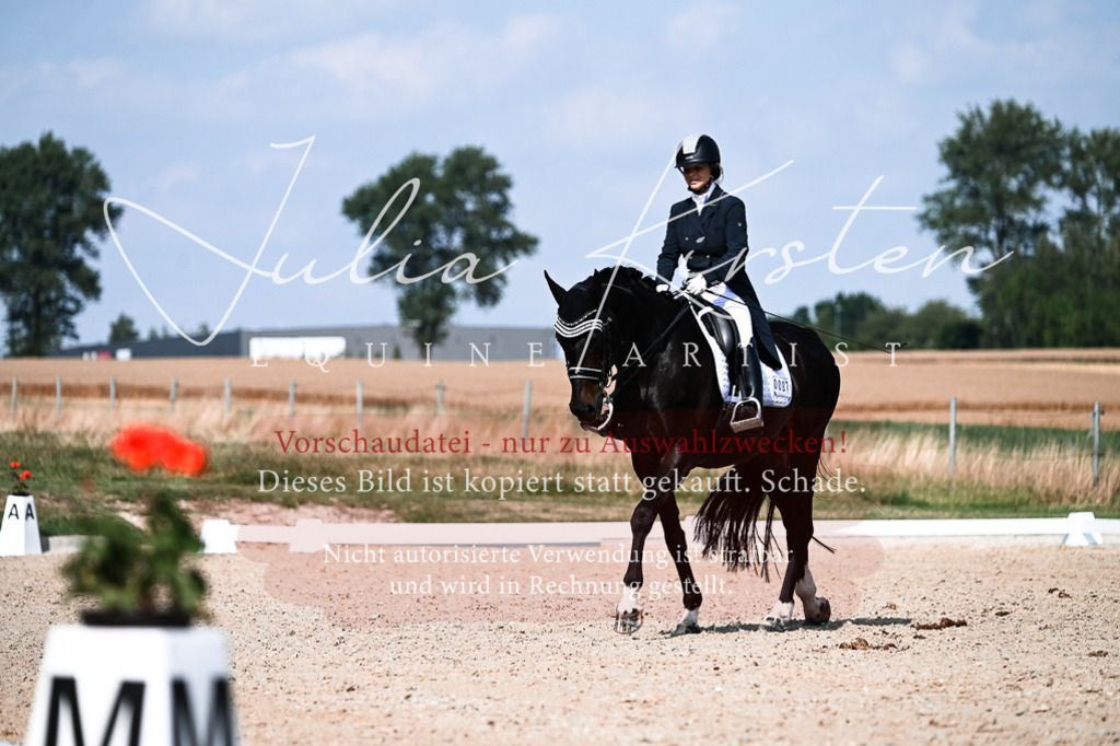 DSC_3307 | Pferde- und Turnierfotografie in Westsachsen. Pferdeportraits, Auftragszeichnungen und intuitive Kunst.