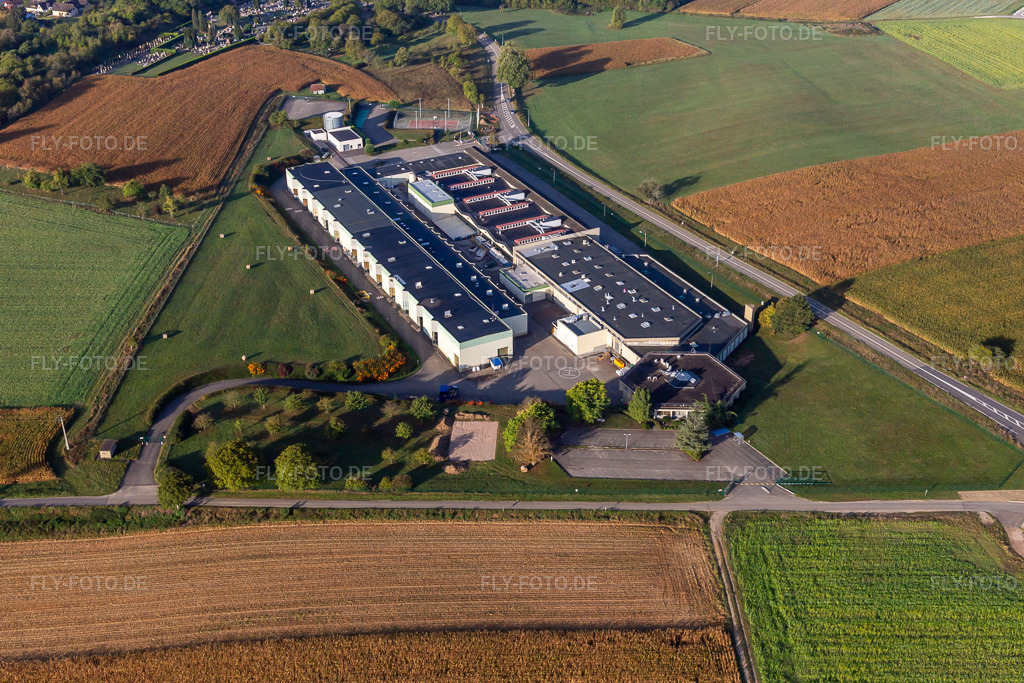 Luftbild: Gunther Tools in Soultz-sous-Forêts im Bundesland Bas-Rhin in Frankreich. Foto: IMG_139234.jpg vom 01.10.2023 durch Werner Riehm/FLY-FOTO.deWalter Tools \xc2\xbb Engineering Kompetenz