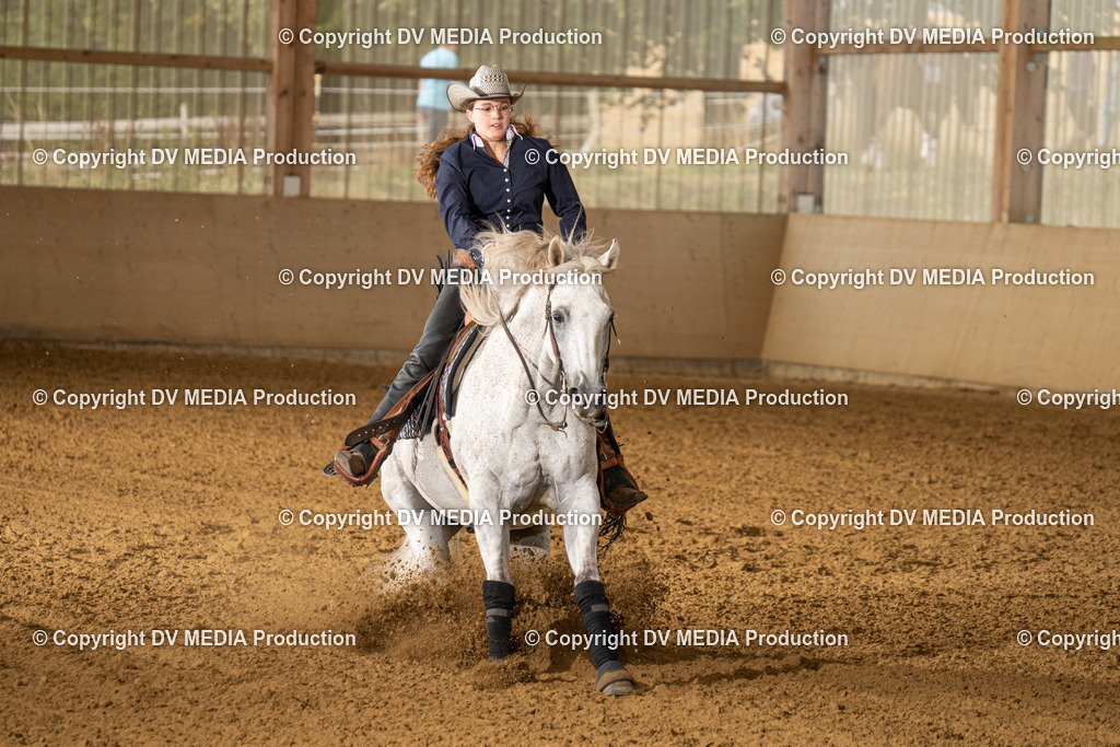 LAU01388 | dv-media-shop - Realisiert mit Pictrs.com