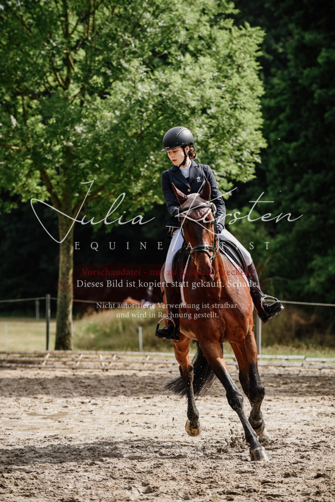 DSC_9580 | Pferde- und Turnierfotografie in Westsachsen. Pferdeportraits, Auftragszeichnungen und intuitive Kunst.