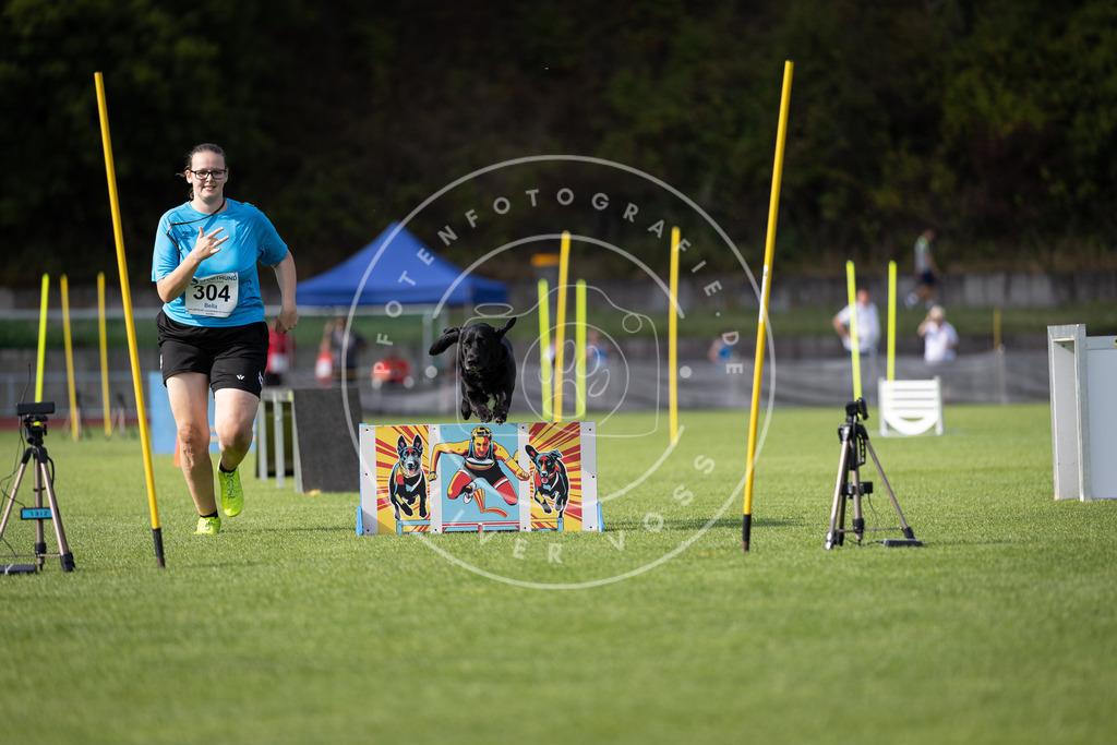 Pfotenfotografie_DV3A1276 | Hundefotografie, Tierfotograf, Pfotenfotografie, Fotoshooting Hund, Hunde Portrait, Hundesport, Hundeportraits, Heideshooting, Hunde, Sportfotograf, Hundefotograf, Turnierhundsport, THS,  - Realisiert mit Pictrs.com