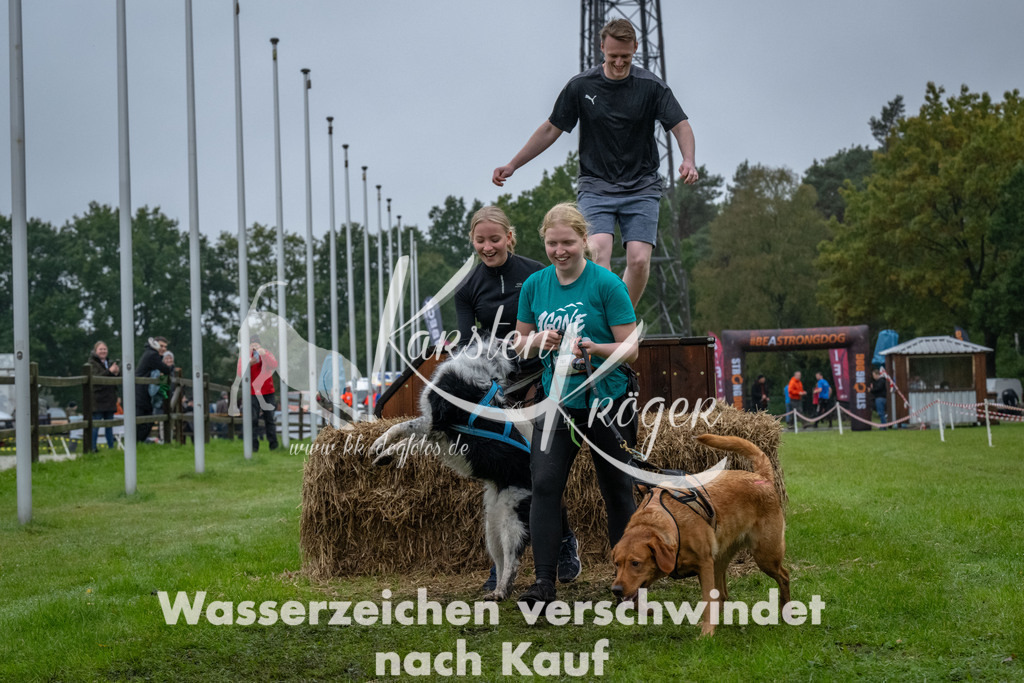 1114-94011 | kk-dogfotos