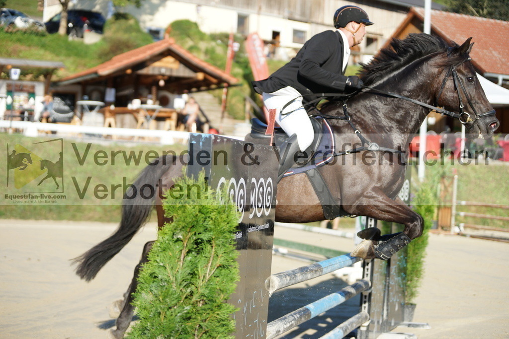 DSC02142 | equestrian-live-com