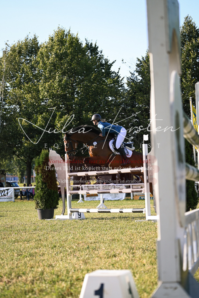 DSC_1792 | Pferde- und Turnierfotografie in Westsachsen. Pferdeportraits, Auftragszeichnungen und intuitive Kunst.