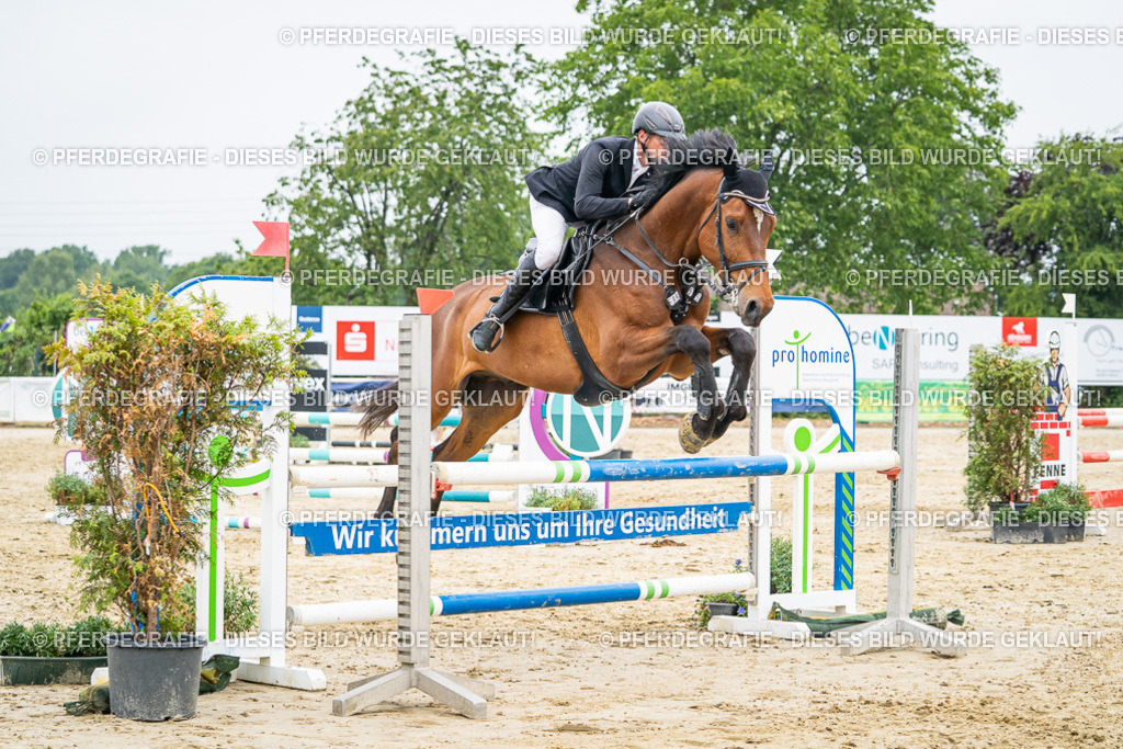 DSC00335 | Pferdegrafie