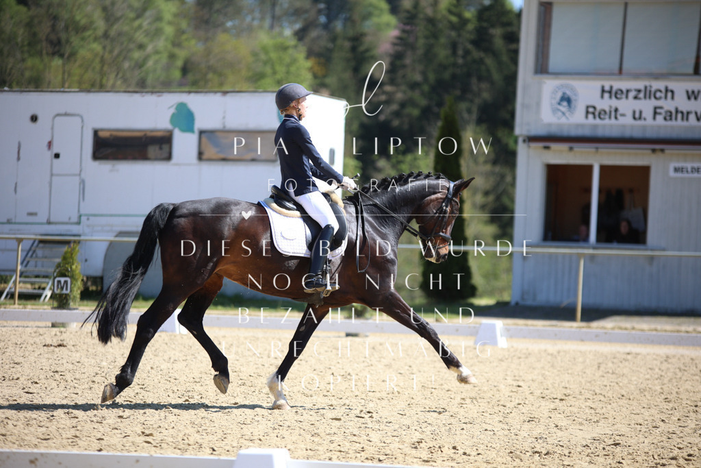 IMGT7588 | pl-fotografie