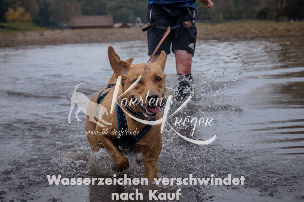 1159_ZZ97740 | kk-dogfotos