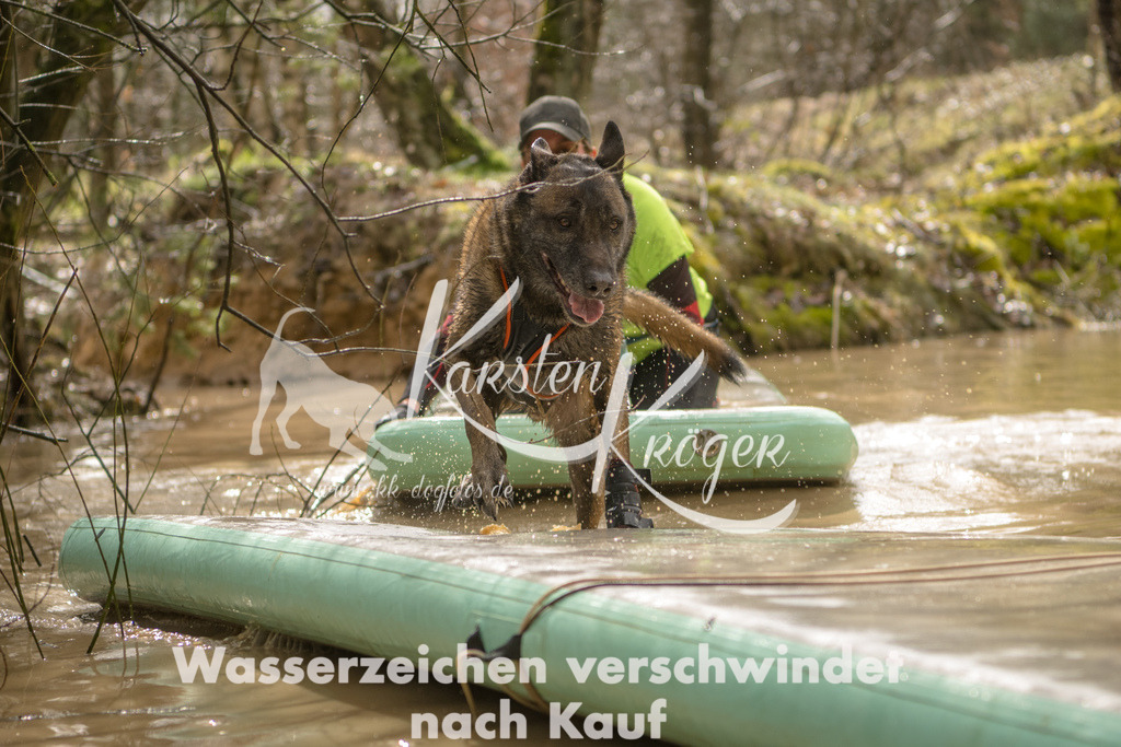 1318_ZZ90041 | kk-dogfotos