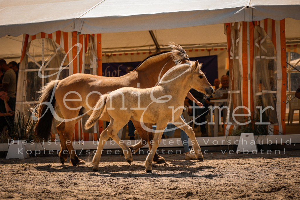 05.DoF00030 | Leoni Ertmer Photography - Realisiert mit Pictrs.com