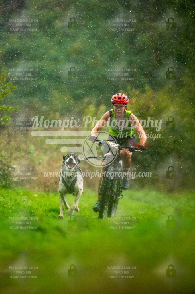 TSB_2023_E6_Bike-13 | PayLife
