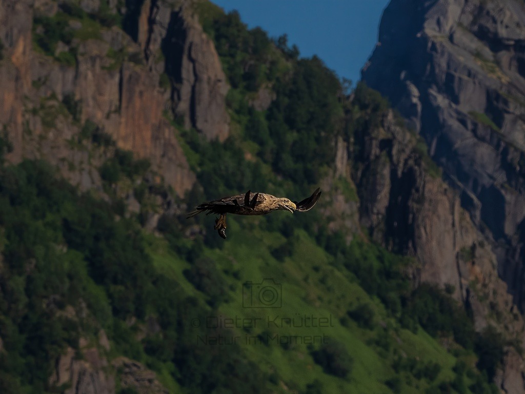 P1001689-LR-topaz-enhance-sharpen | Natur im Moment - Realisiert mit Pictrs.com