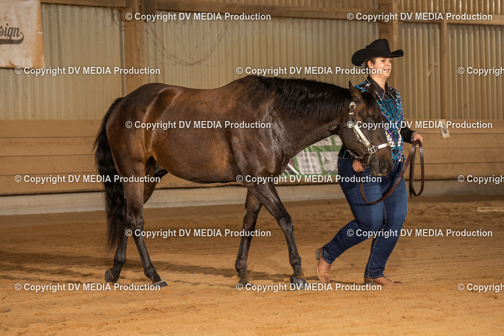 NID02424 | dv-media-shop - Realisiert mit Pictrs.com