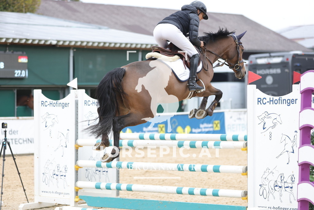 0P6A3307 | Willkommen bei Brunnmayr - Design & Fotografie – Ihrem Spezialisten für Reitturniere und Pferdeveranstaltungen in Oberösterreich, Salzburg und Bayern! Seit über 17 Jahren sind wir leidenschaftlich dabei.