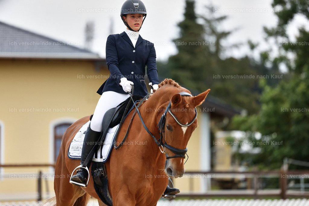 02-095-DRESSUR L_  -StoibPH-4704 | working equitationturnier fotograf videograf stoibphotography marixx film working equitation deutschland reitsport turnierfotografie eventfotografie equestrian events