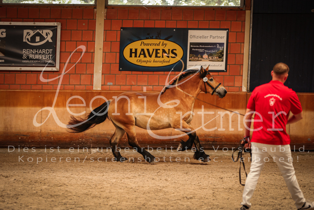 SaFL00115 | Leoni Ertmer Photography - Realisiert mit Pictrs.com