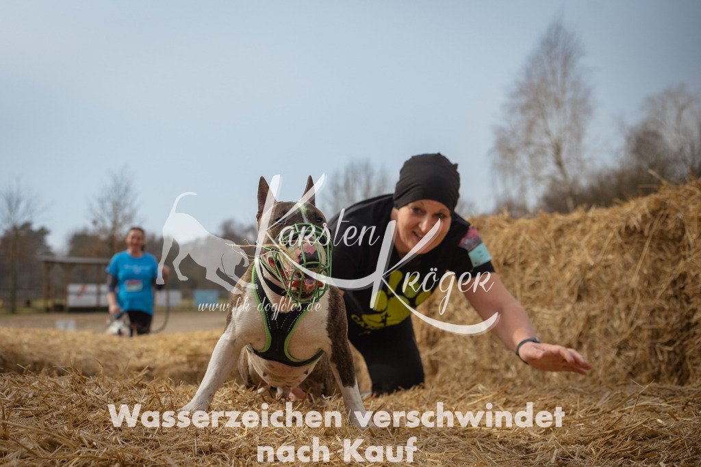1134_ZZ94529 | kk-dogfotos