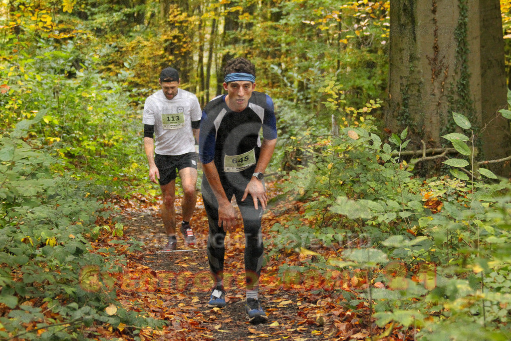 251026_1210_EV4_4582 | Sportfotografie im Rhein-Sieg Kreis, Köln, Bonn, NRW, Rheinland Pfalz, Hessen, etc. Unser Tätigkeitsfeld umfasst den Laufsport vom Volkslauf über den Marathon, Duathlon, Triathon bis zum Ultralauf wie Kölnpfad Ultra oder Schindertrail.