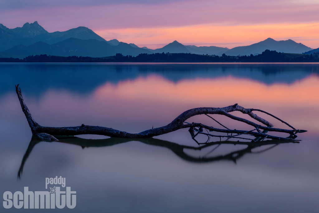 Blaue Stunde am Forggensee | Stimmungsvoller Moment am Forggensee. Wenn die Landschaft in kühle Blautöne getaucht wird und die Berge als dunkle Silhouetten am Horizont erscheinen. - Realisiert mit Pictrs.com