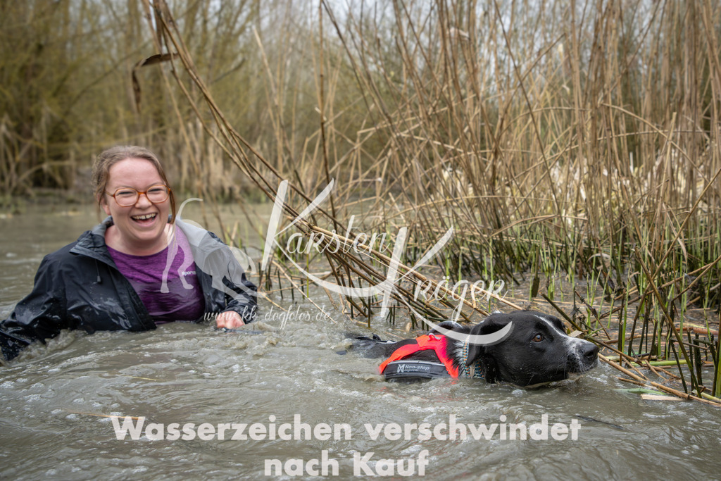 1353_ZZ94026 | kk-dogfotos