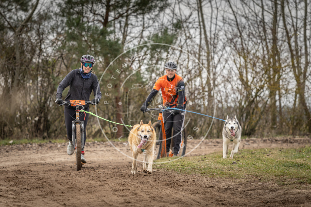 Pfotenfotografie_DV3A0177 | Hundefotografie, Tierfotograf, Pfotenfotografie, Fotoshooting Hund, Hunde Portrait, Hundesport, Hundeportraits, Heideshooting, Hunde, Sportfotograf, Hundefotograf, Turnierhundsport, THS,  - Realisiert mit Pictrs.com