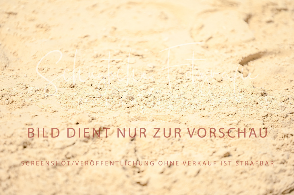 Schugtsche-Aluta25-49.Dressurpferdeprf.A-188 | Schugtsche Fotografie - Realisiert mit Pictrs.com