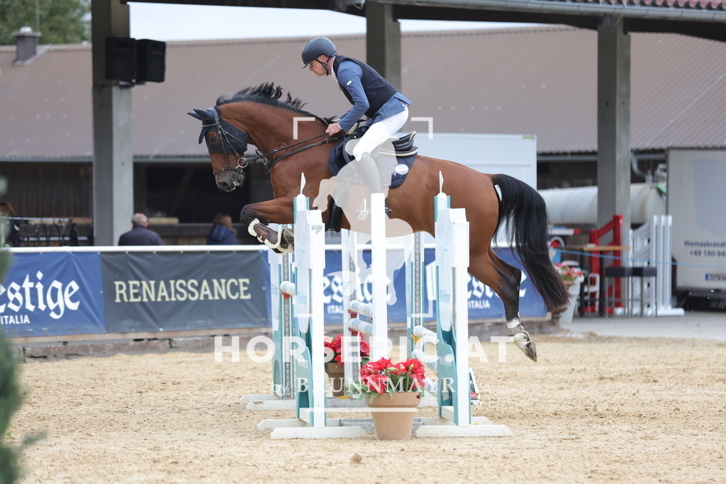 0P6A7167 | Willkommen bei Brunnmayr - Design & Fotografie – Ihrem Spezialisten für Reitturniere und Pferdeveranstaltungen in Oberösterreich, Salzburg und Bayern! Seit über 17 Jahren sind wir leidenschaftlich dabei.